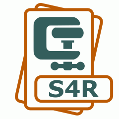 Symbol der S4R-Datei