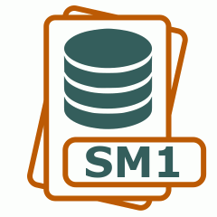 Symbol der SM1-Datei