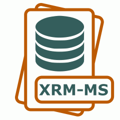 Symbol der XRM-MS-Datei