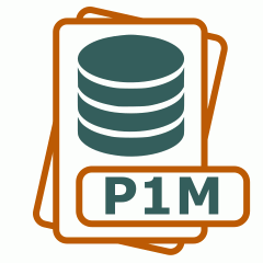 Symbol der P1M-Datei