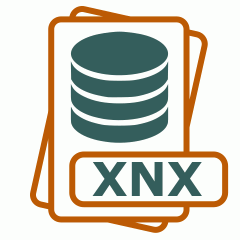 Symbol der XNX-Datei