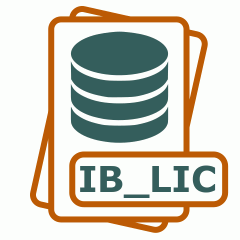 Symbol der IB_LIC-Datei