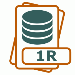 Symbol der 1R-Datei