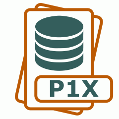 Symbol der P1X-Datei