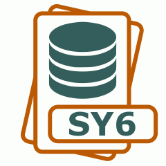 Symbol der SY6-Datei