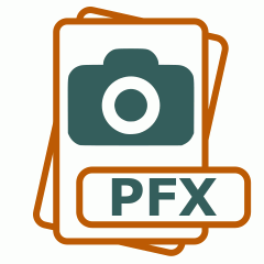 Symbol der PFX-Datei