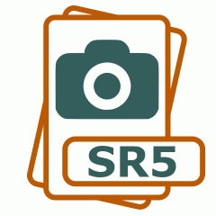 Symbol der SR5-Datei