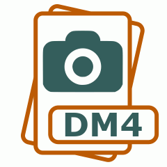 Symbol der DM4-Datei