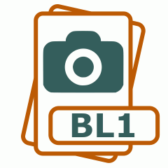 Symbol der BL1-Datei