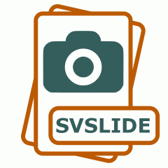 Symbol der SVSLIDE-Datei