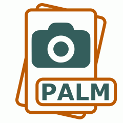 Symbol der PALM-Datei