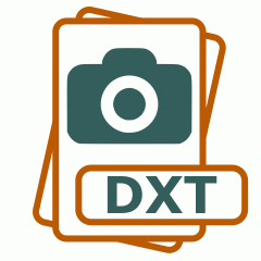 Symbol der DXT-Datei