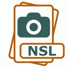Symbol der NSL-Datei
