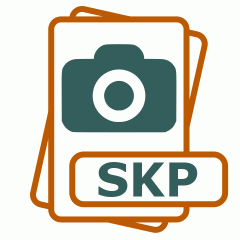 Symbol der SKP-Datei