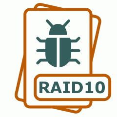 Symbol der RAID10-Datei