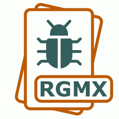 Symbol der RGMX-Datei