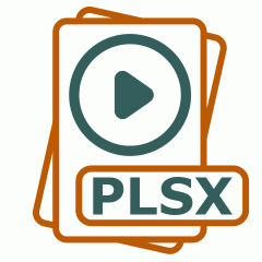 Symbol der PLSX-Datei