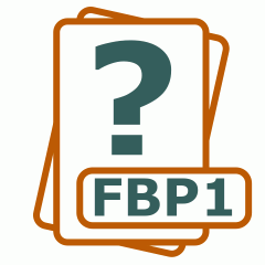 Symbol der FBP1-Datei