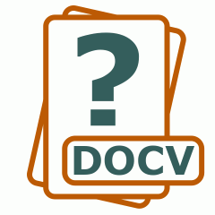 Symbol der DOCV-Datei
