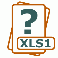 Symbol der XLS1-Datei