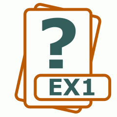 Symbol der EX1-Datei
