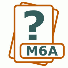 Symbol der M6A-Datei